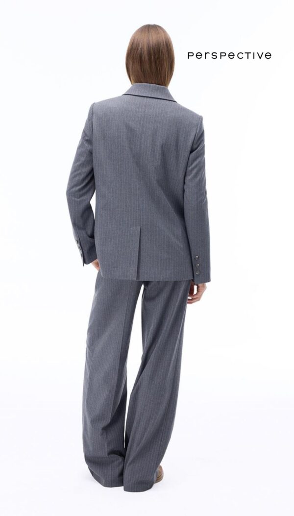 Simple Regular Fit Çizgili Antrasit Ceket - Görsel 4