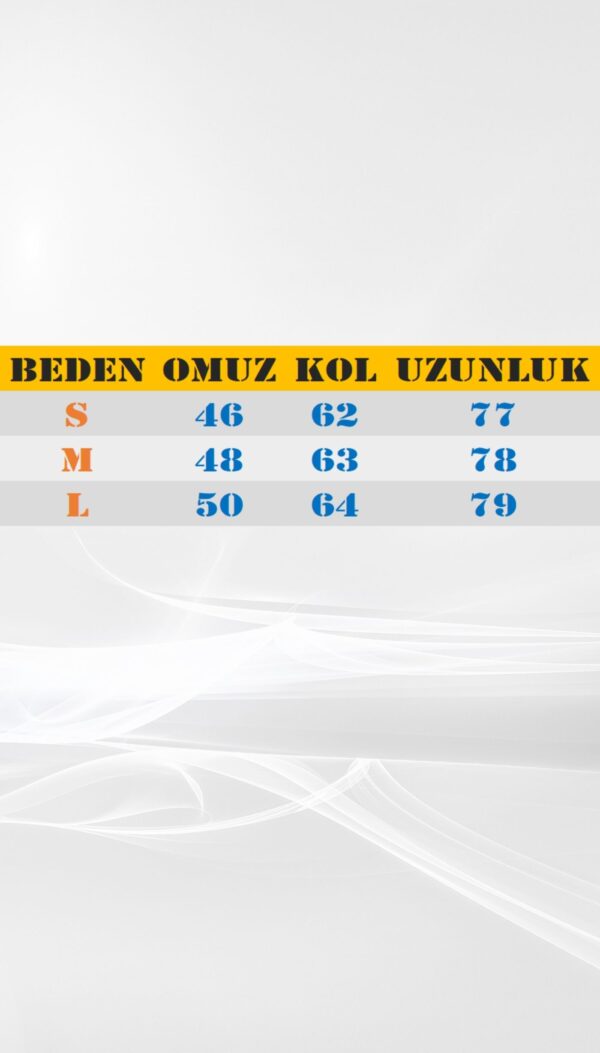 Kaşe Kumaş Astarlı Cepli Çizgili Oversize Gri Ceket - Görsel 4