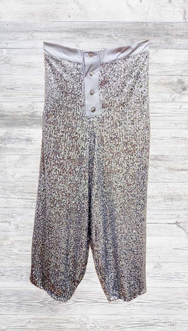 Payetli Havuç Model Bol Pantolon (Silver) - Görsel 3